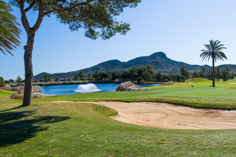 Resort Sales & Management