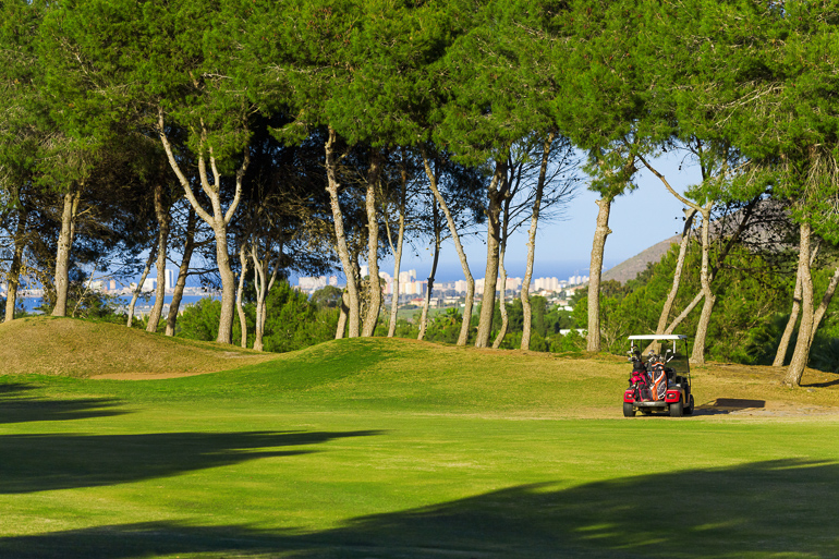 Resort Sales & Management